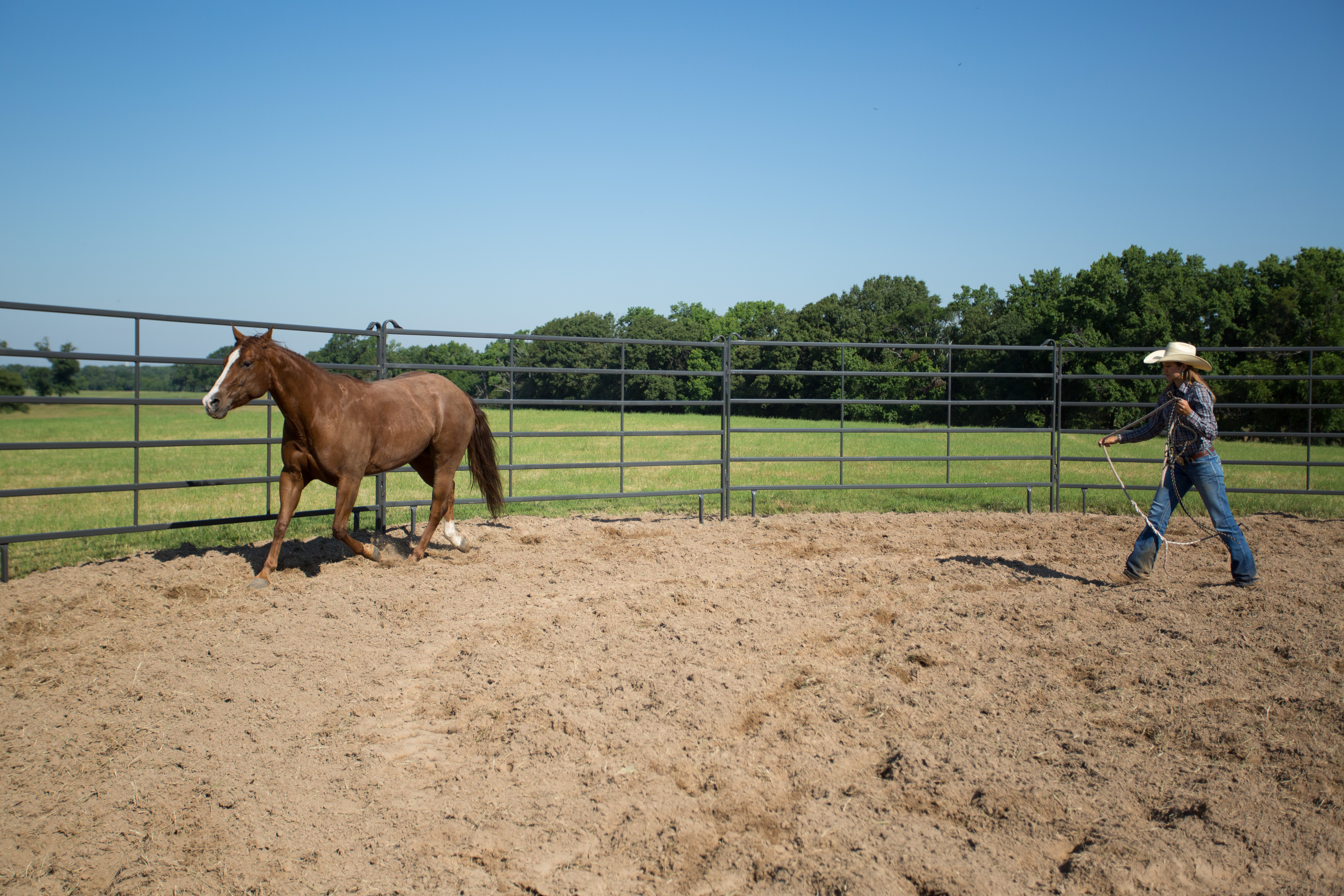 Premier Tall Round Pen PPT50 82.jpg